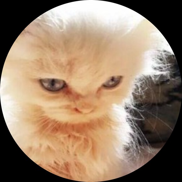 itscraky